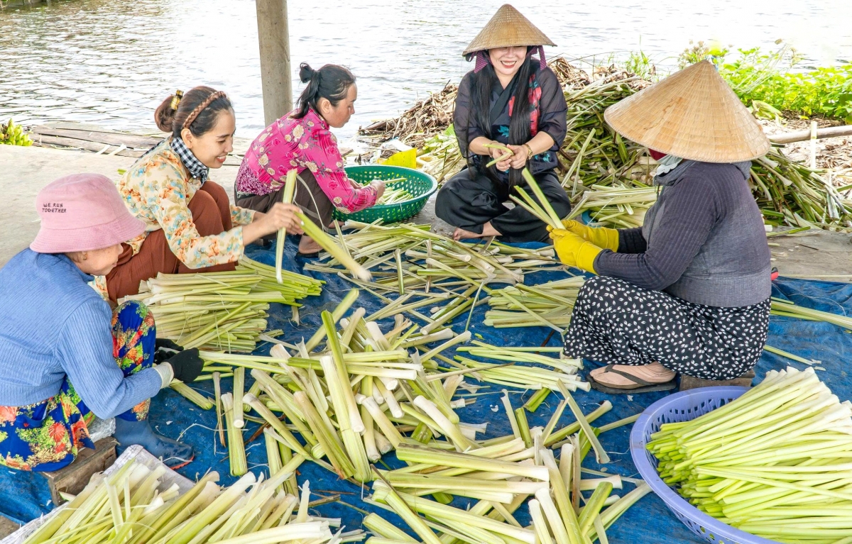 HTX An Hòa được thành lập để tìm đầu ra ổn định cho sản phẩm bồn bồn