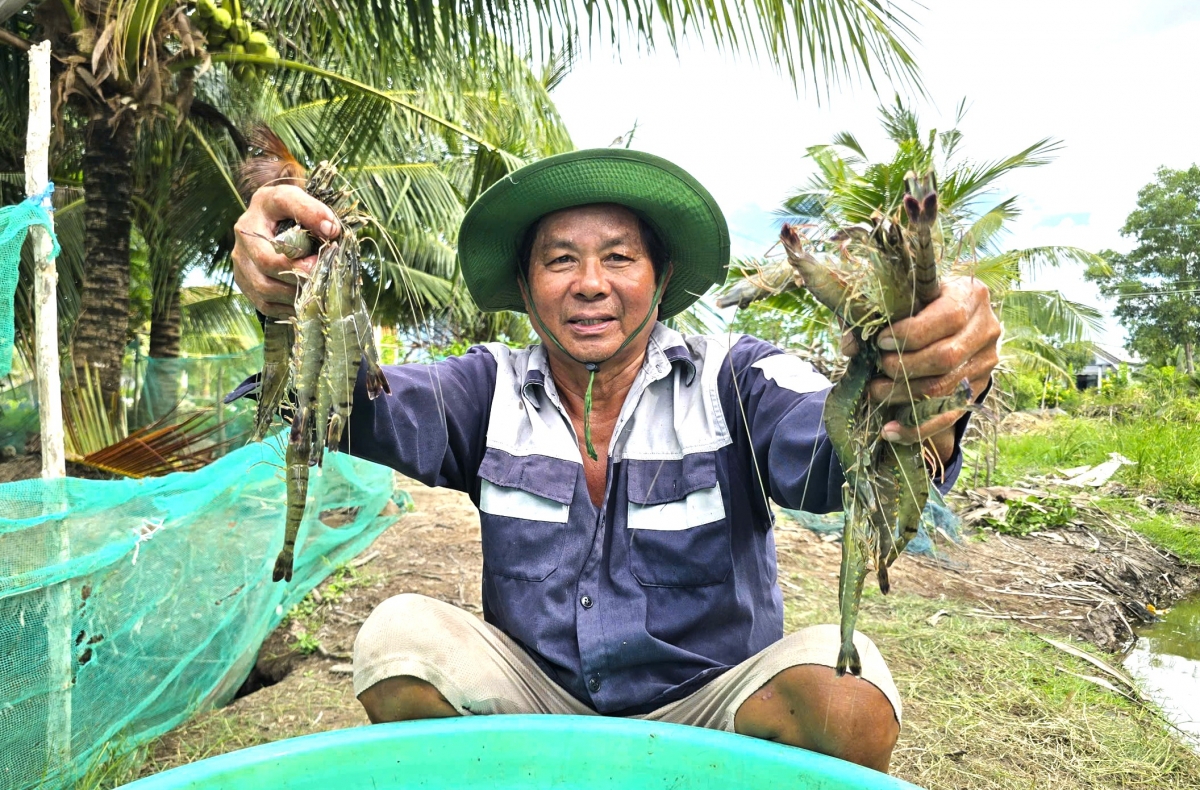 Ông Đoàn Xuân Nghi, là hộ gia đình cựu chiến binh sản xuất giỏi ở xã U Minh