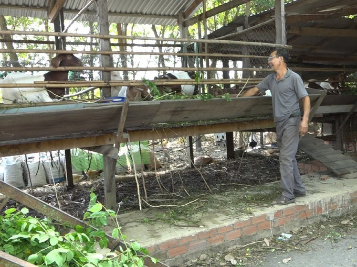 Rahra raong glang pabe chreih chrai tuk yaom tagok glaong