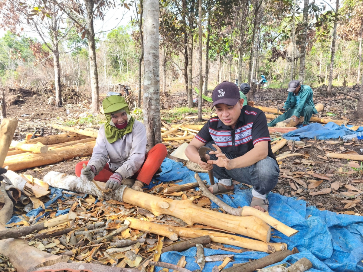 Đinh Lê Tuấn Anh pơtho kon pơlei lak kơđoh kuê̆ ƀlep trong