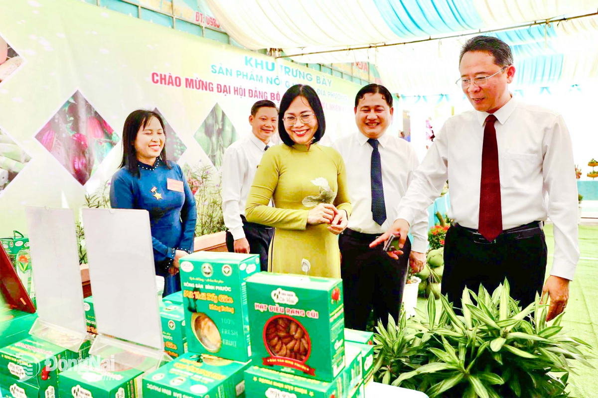 Kaya nong di tinh Dong Nai