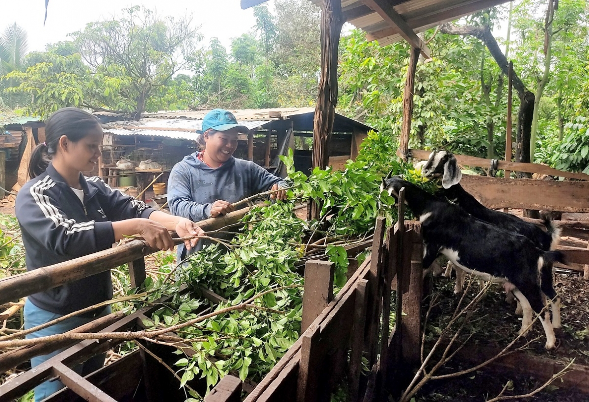 Geh tơm prăk, yuh H'Búi Ayun (ndô môk ư̆r) nănh pơk hvi nău kan wăng sa
