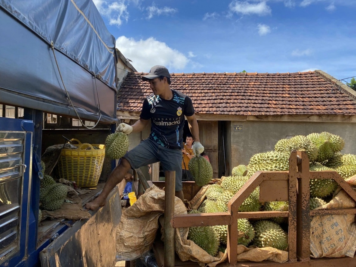 Pơblih tơlơi pơmin, bruă mă, mơnuih ngă hmua Dak Lak pơjing mơ̆ng tơlơi sư̆ rơbư̆ jing boh tơhnal tŭ yua