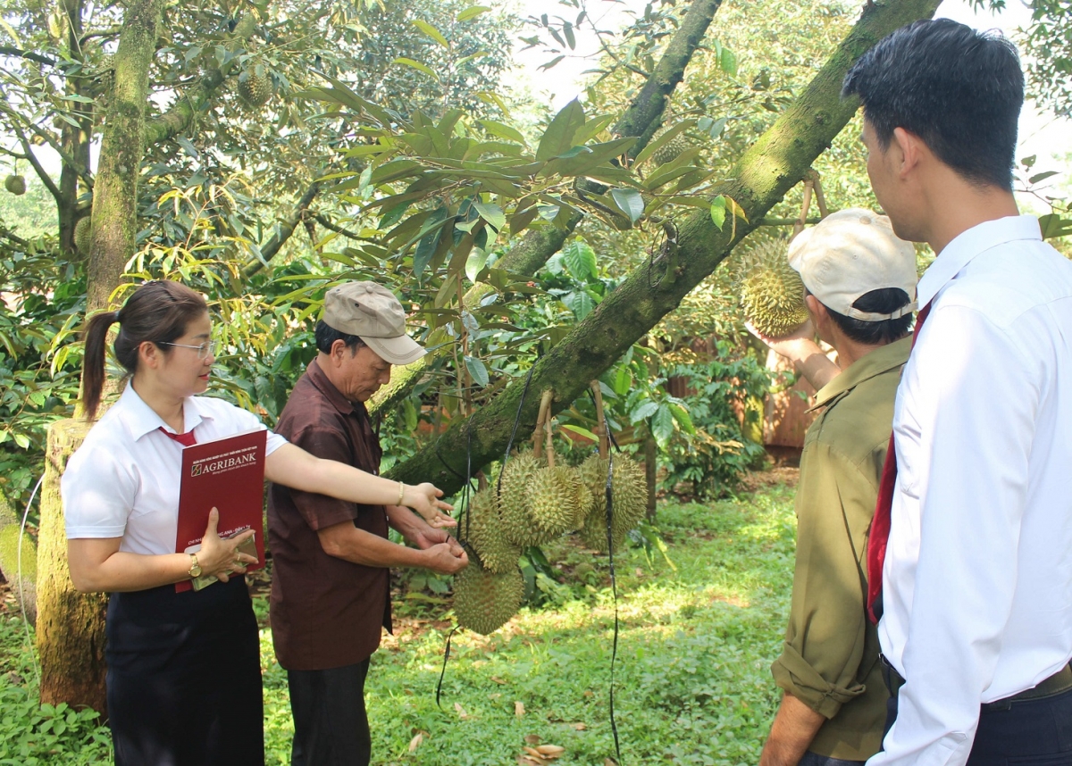 Prăk čan kơmlai ƀiă pơtrut mơnuih ƀôn sang djop plơi pla pơblih tơlơi pơmin hơdră bơwih ƀong huă djơ̆ găl hloh