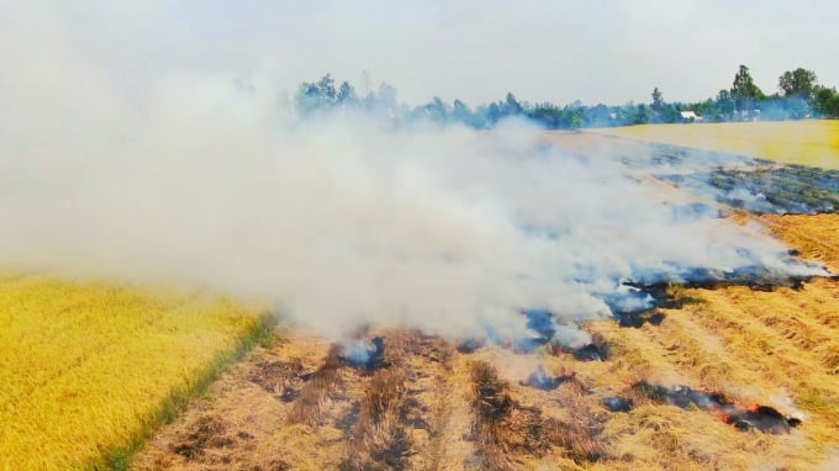 Di bhum taneran kraong Cuu Long 