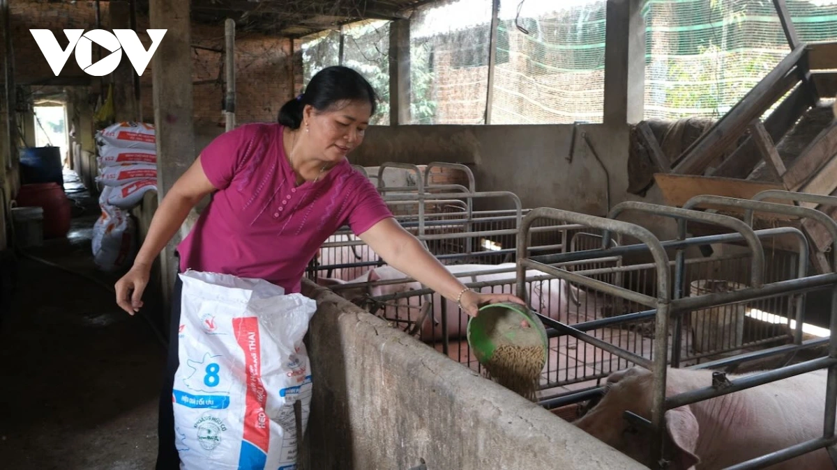 Amuk Tuyết bui sambai kayua kinh te baoh sang dak harei dak patagok