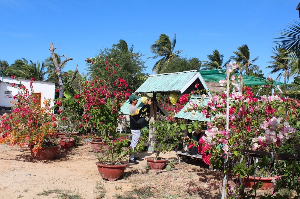 Baoh sang ong Tin ngak bahrau beik piah srap gap raok tuai bingun 30.4 saong 1.5 anak tal