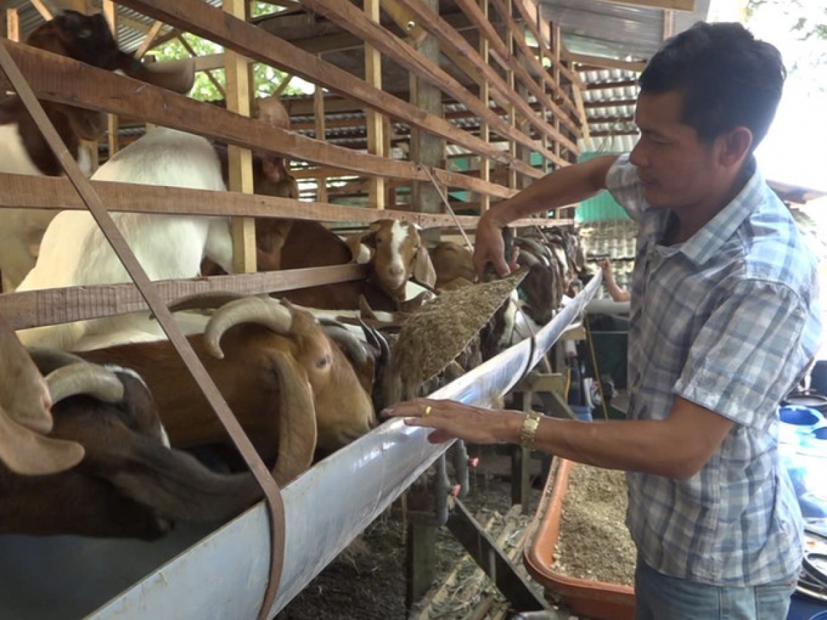 Rahra raong glang pabe chreih chrai tuk yaom tagok glaong.