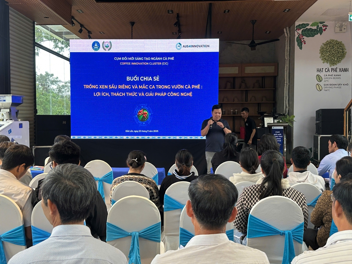 Tối ‘na túa ki rơkê tơtro pêt tơvât plâi sầu riêng, mắc ca tung kơdrum kơphế