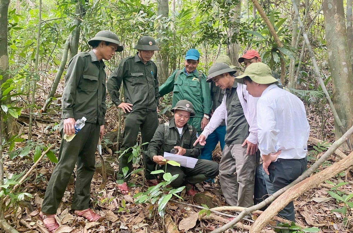 Các cộng đồng thôn tham gia tuần tra, bảo vệ rừng định kỳ