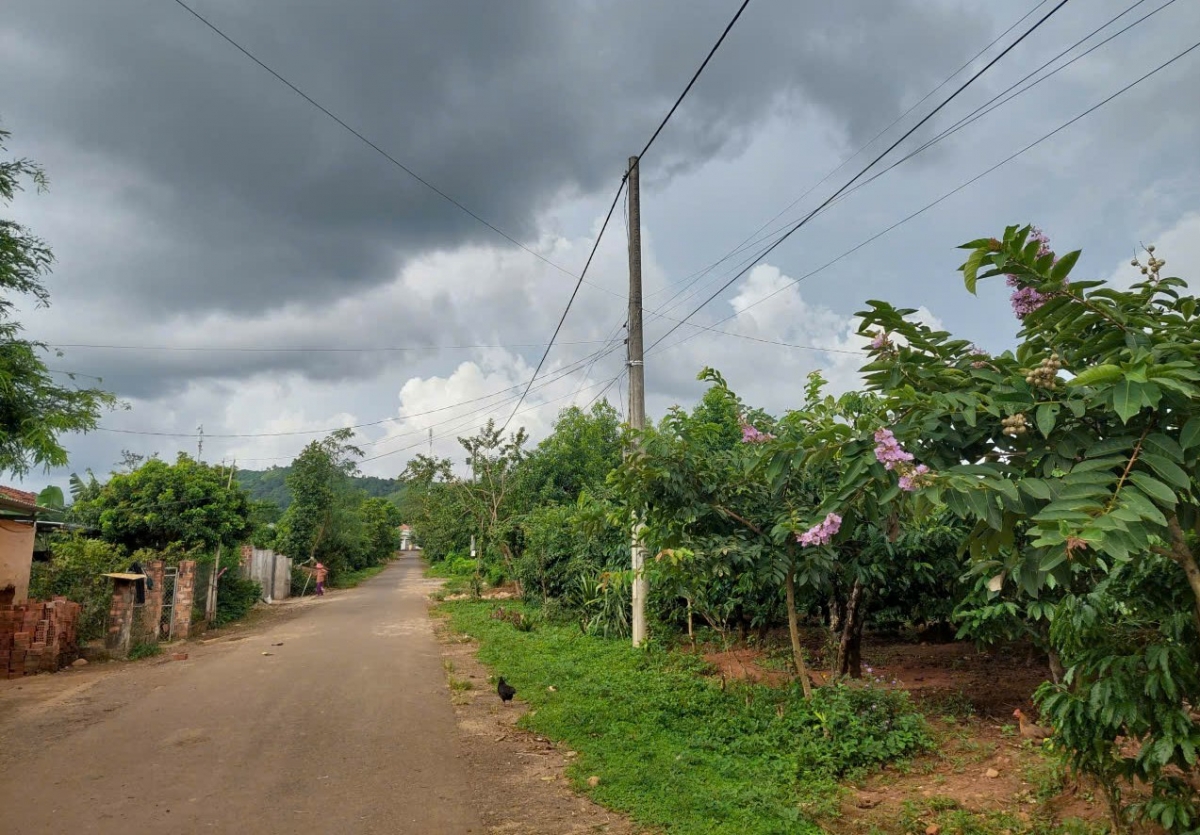 Xúa kih thuât tung pêt kơphế, kơxu, kuăn pơlê hdroâng kuăn ngo a Đak Pxi rế hía rế ai tơdroăng rêh kâ ối phâi hơtôu