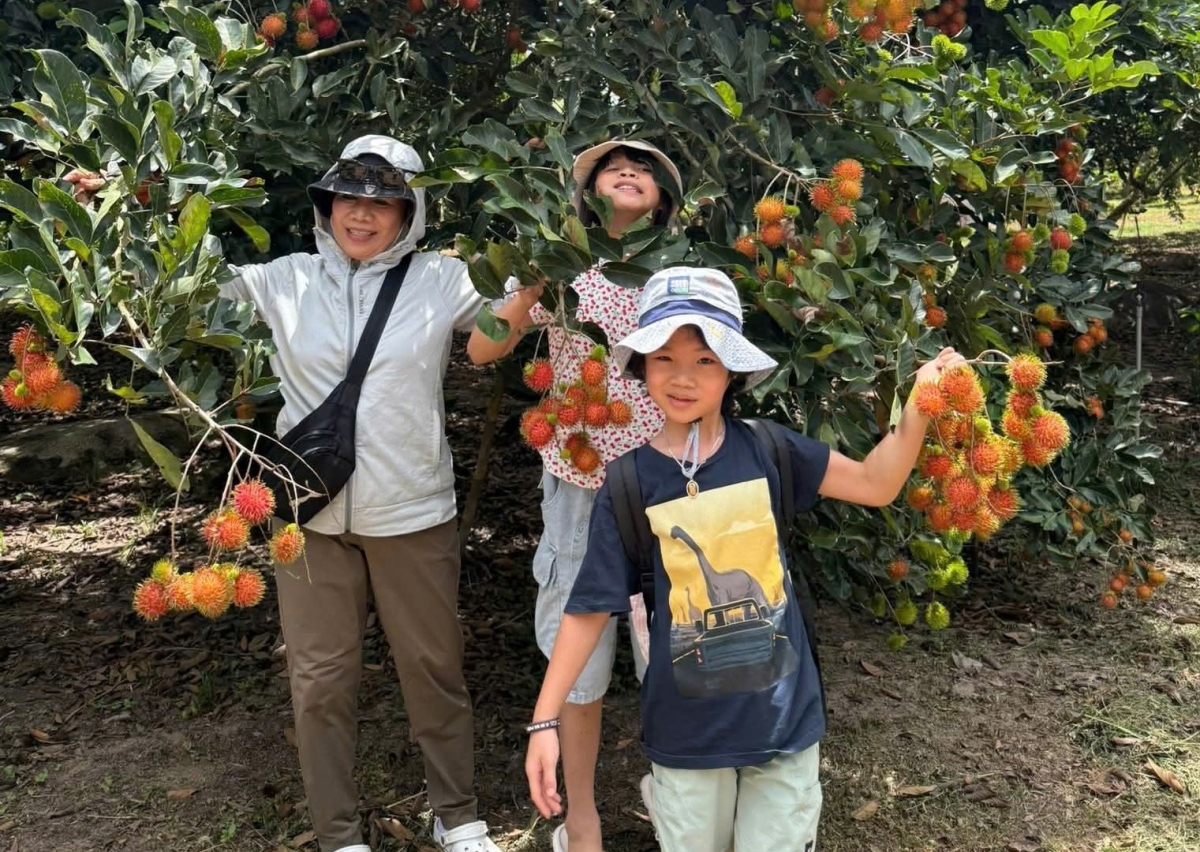 năch hăn pâl rlưn ta mir tơm tăm