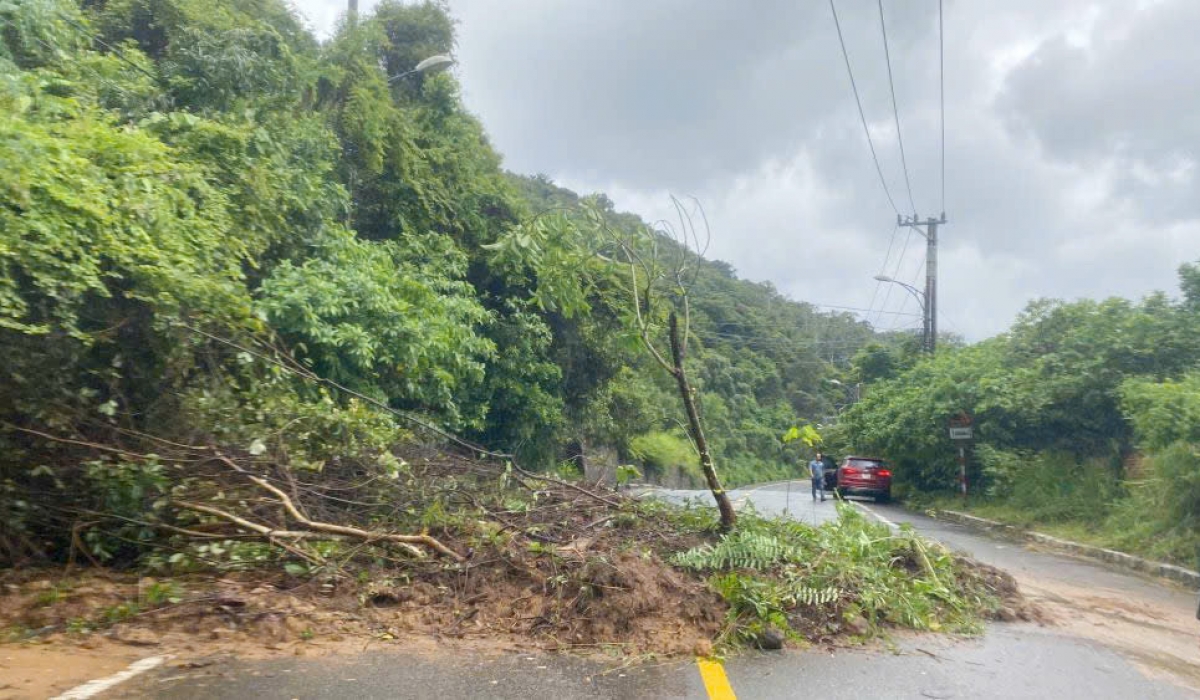 Đường lên Bán đảo Sơn Trà, TP Đà Nẵng