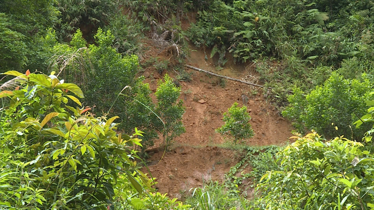 Ù tiah tàm tiah chàr bơnơm càr Gia Lai di gơlan gơtìp mờ bơta tơrlah tàm kàl mìu dà cò