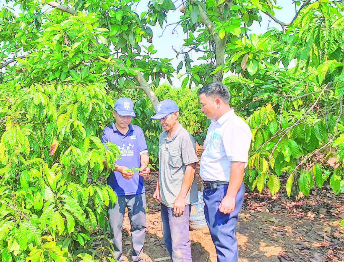 Ảnh minh họa- Báo Nhân dân