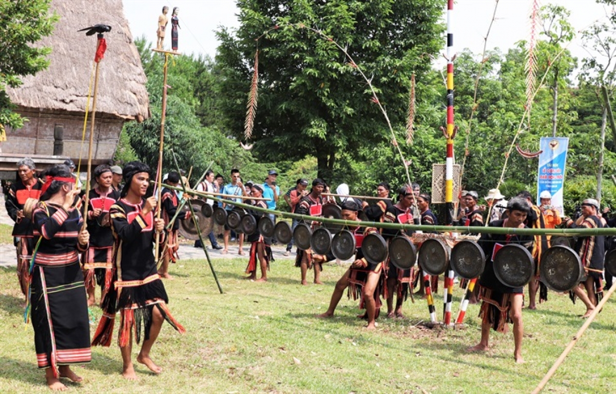 Rùp ai bơh tàm internet