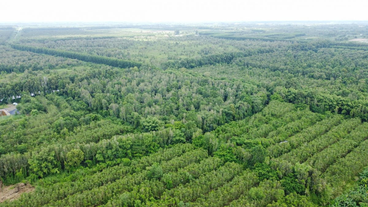 Khu du lịch sinh thái Mùa Xuân nhìn từ trên cao