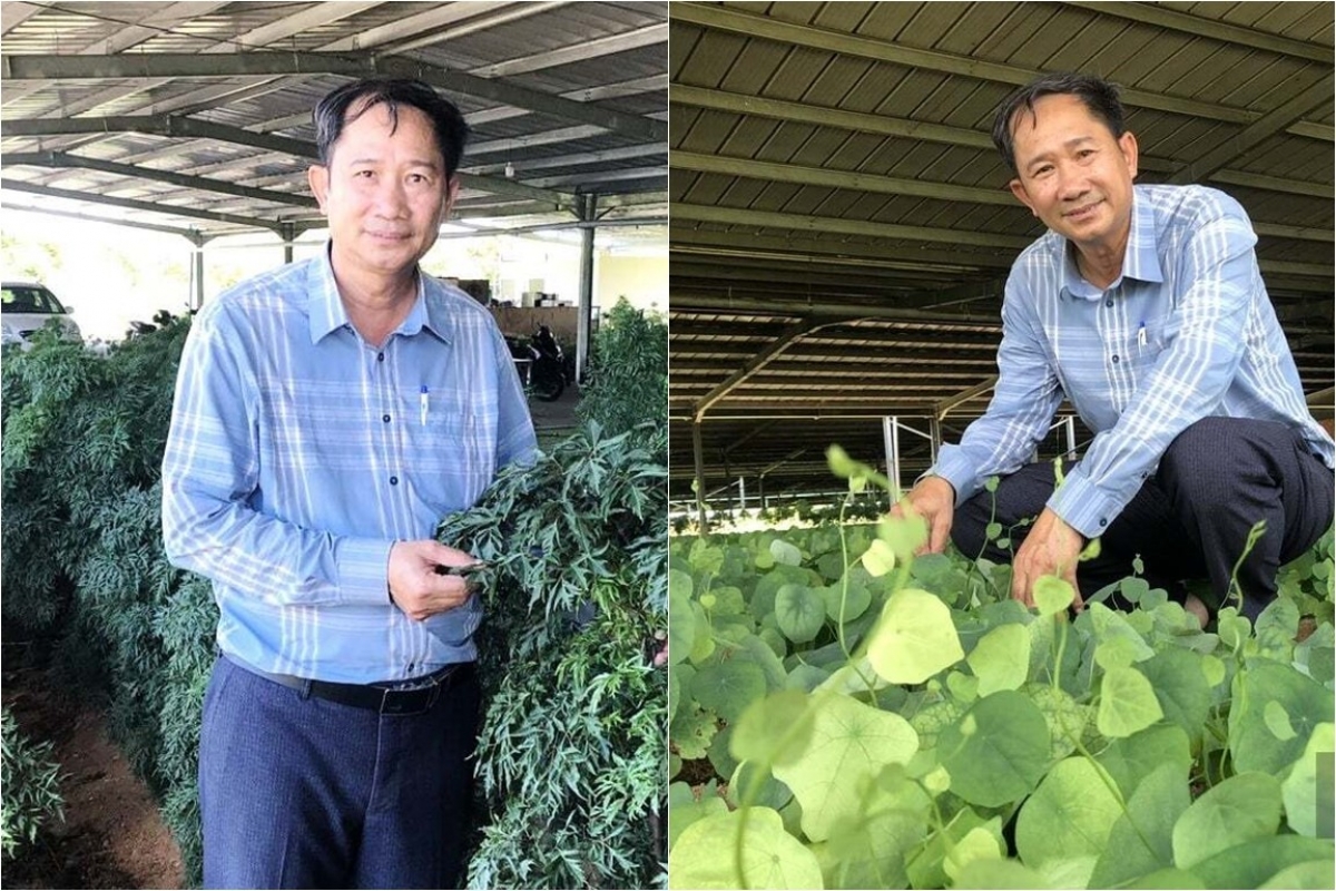 Ong Nguyễn Ngọc Bình, Akaok Kong ty Co phan Phun jru Pambuak pagam Viet Nam