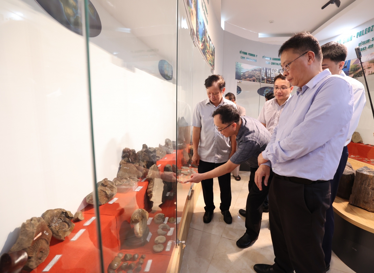 Ảnh: Viện Hàn lâm Khoa học và Công nghệ Việt Nam