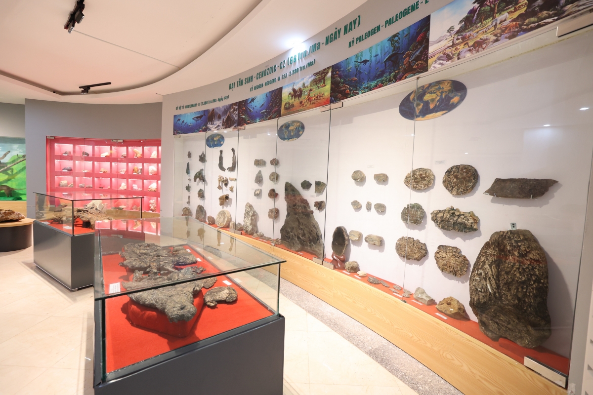 Ảnh: Viện Hàn lâm Khoa học và Công nghệ Việt Nam