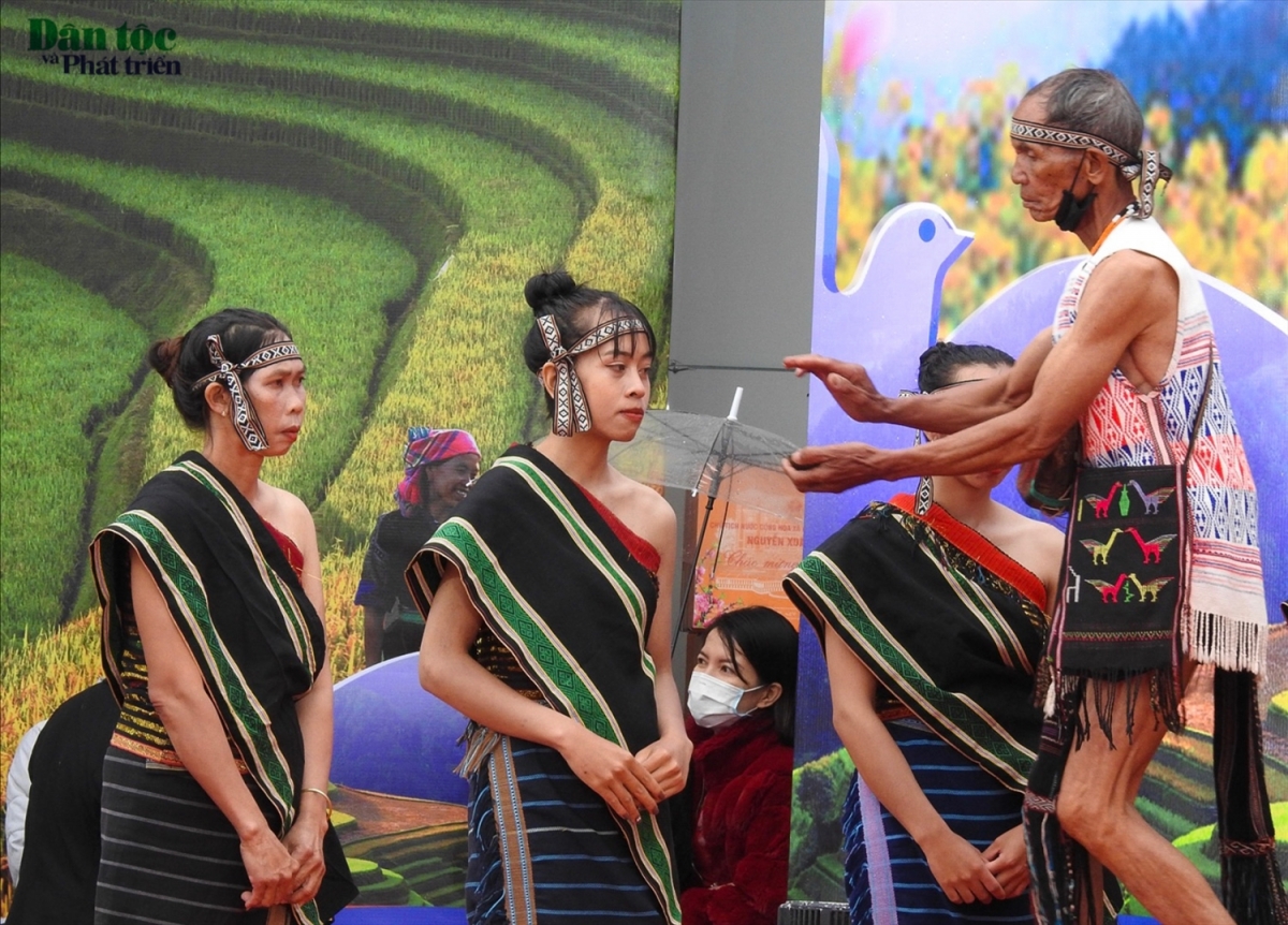 
Rùp ai bơh tàm internet