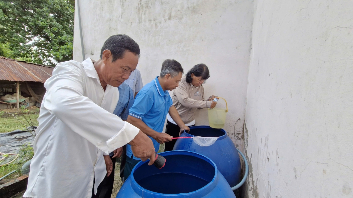 Kiểm tra và thả cá để duyệt lăng quăng