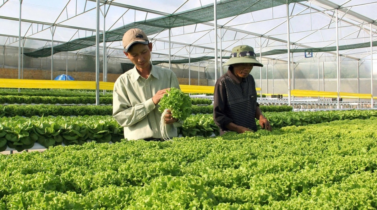 -Mnuih ƀuôn sang hrui êmiêt djam ti anôk pla mjing djam Lâm Đồng.