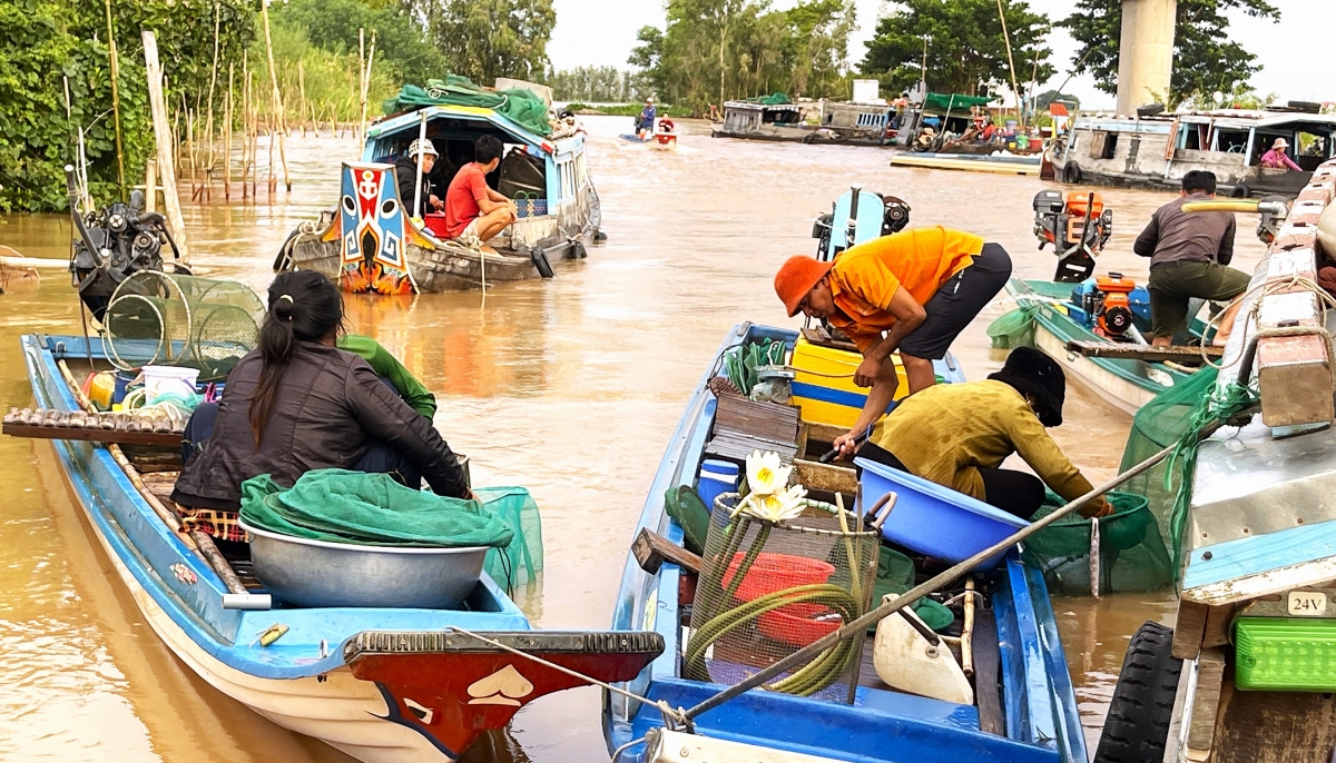 Một góc Chợ cá đồng Kênh Ruột