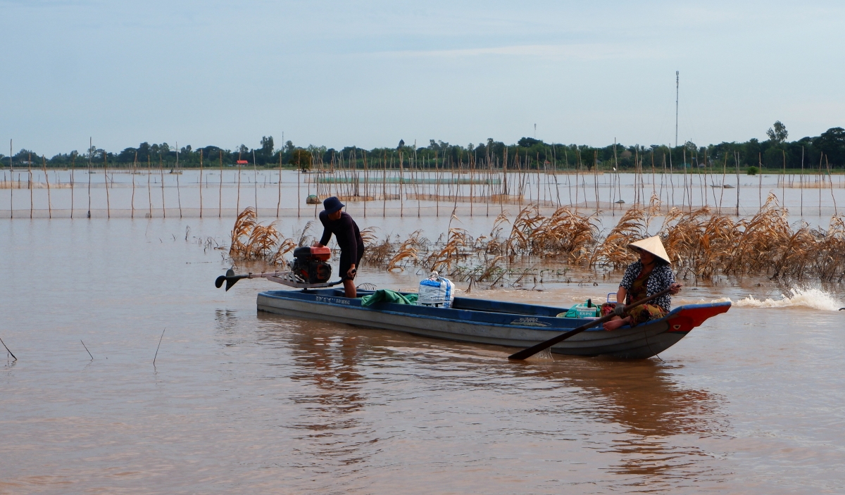 Nước về, người dân tất bật với việc đặt dớn, chài, lưới, lú…