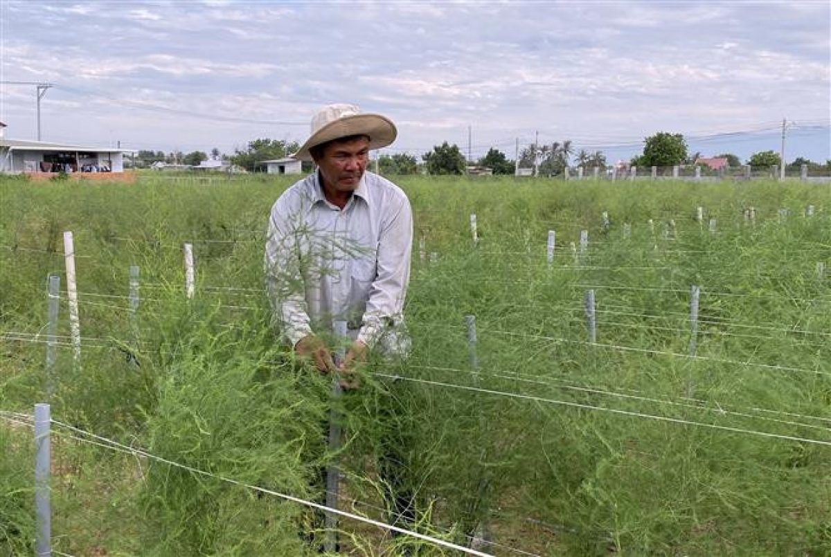 Ong Hùng Ky sangka phun ribung prang hijao di angaok mblang taneh di baoh sang dre