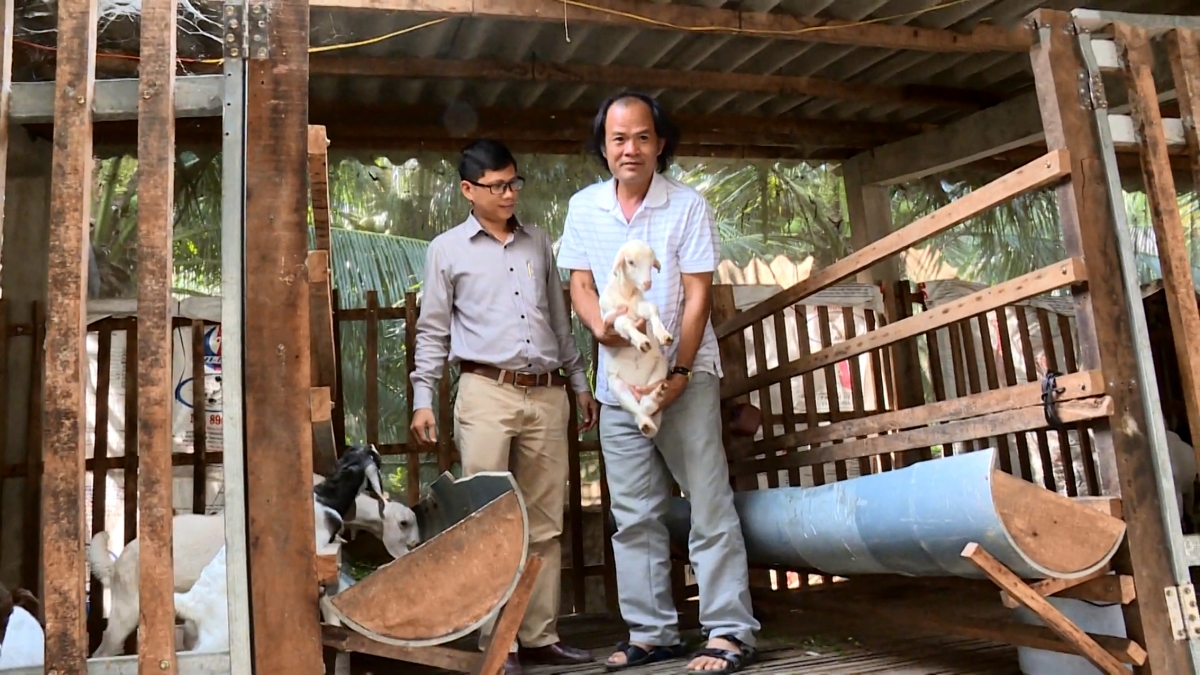 Ông Nguyễn Thanh Thủy với đàn dê con tái đàn