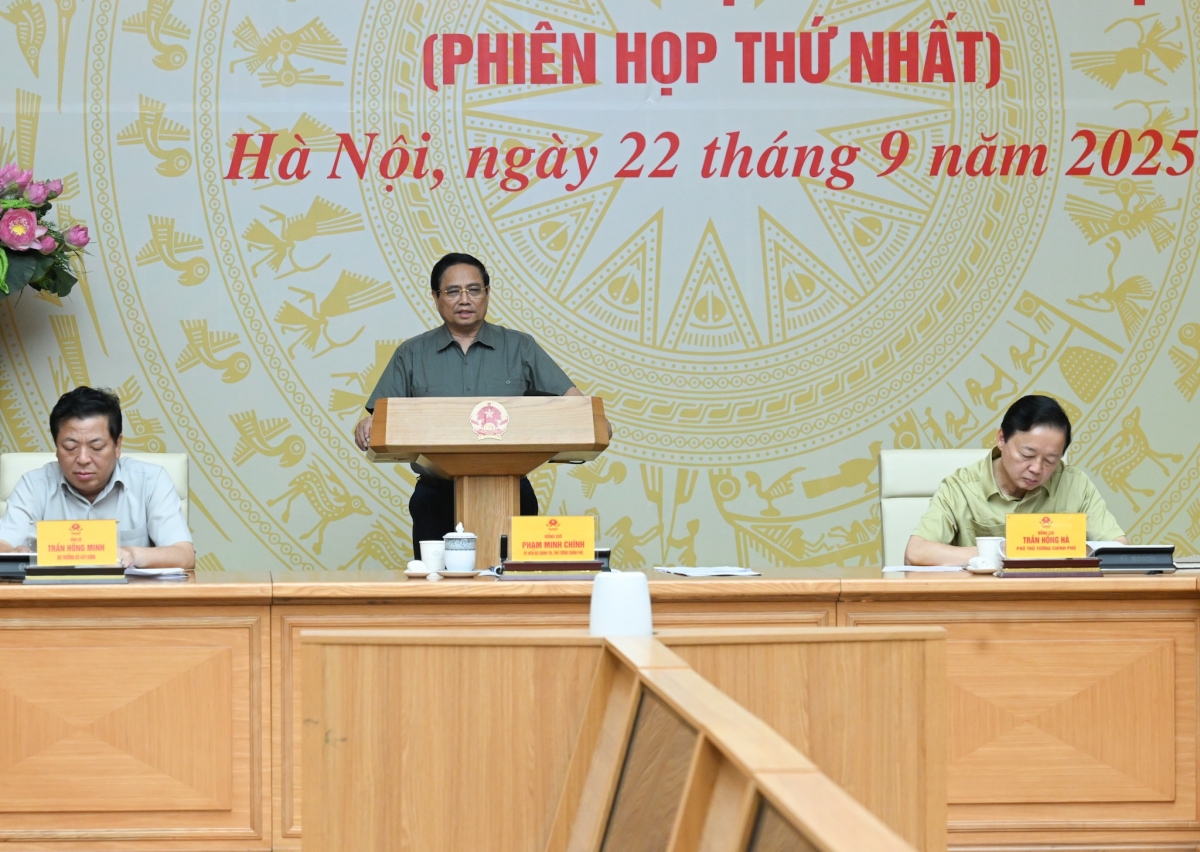 Thủ tướng đă ƀư nâp ntŭk tăch neh ntu