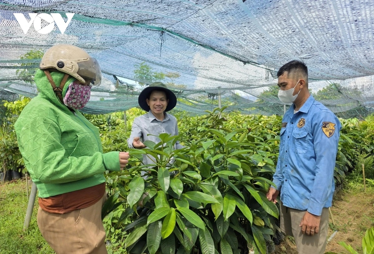  Người dân tham quan, học tập tại vườn ươm cây giống của ông Phạm Văn Luận