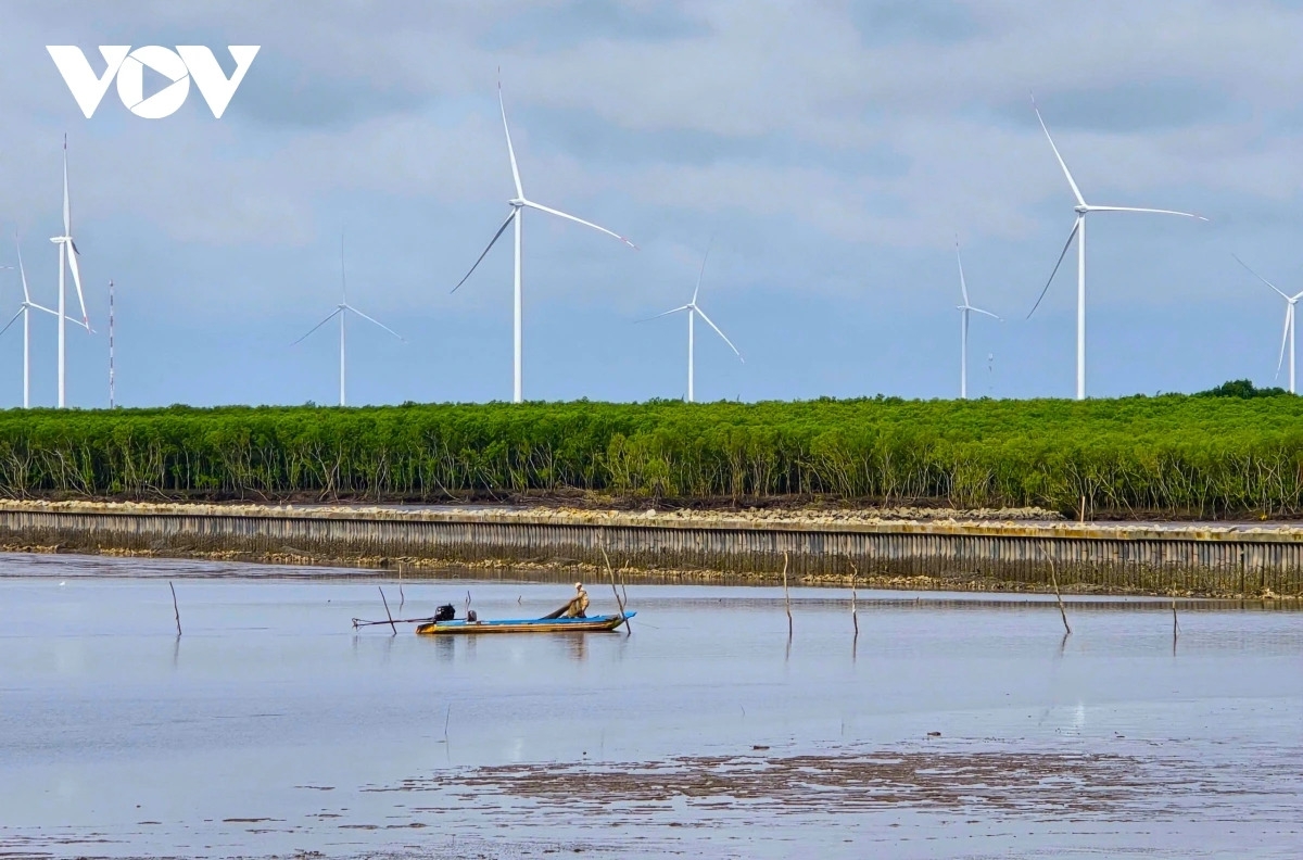 Tiềm năng điện gió của tỉnh Cà Mau vào khoảng 16.000 MW.