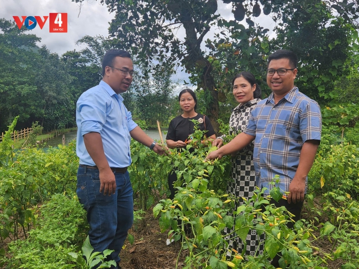 Chị Lê Thị Thôn (người đứng thứ hai phía bên phải) với mô hình kinh tế tổng hợp hiệu quả