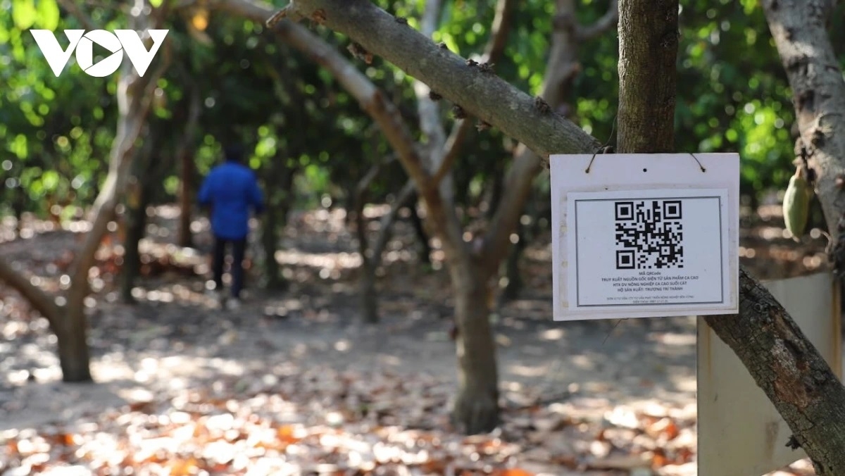 Salih pandar taka so dalam bruk pala drak