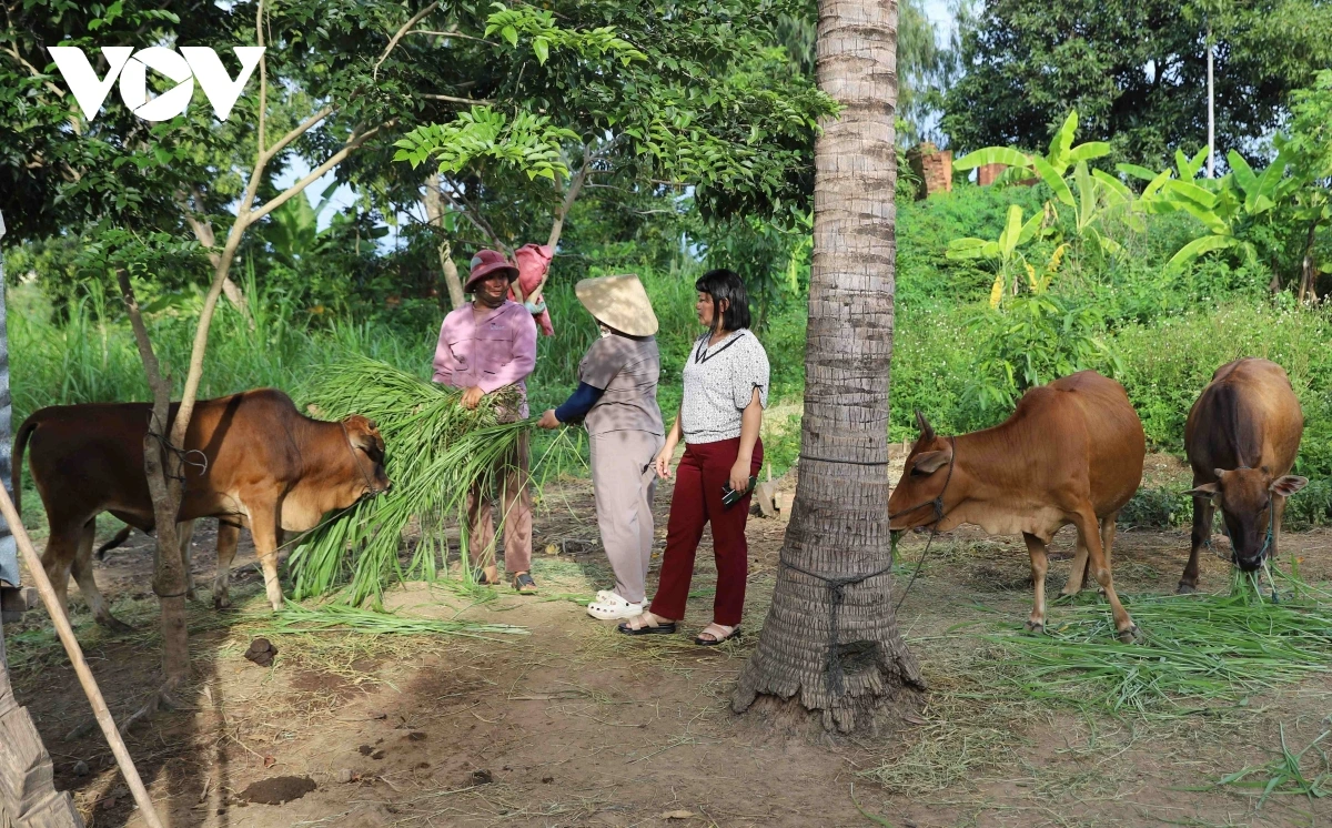 Bruk raong limo menek brei mboh kein lagaih di rilo xa dalam ban sit Ayun Pa (klak) di tinh Gia Lai
