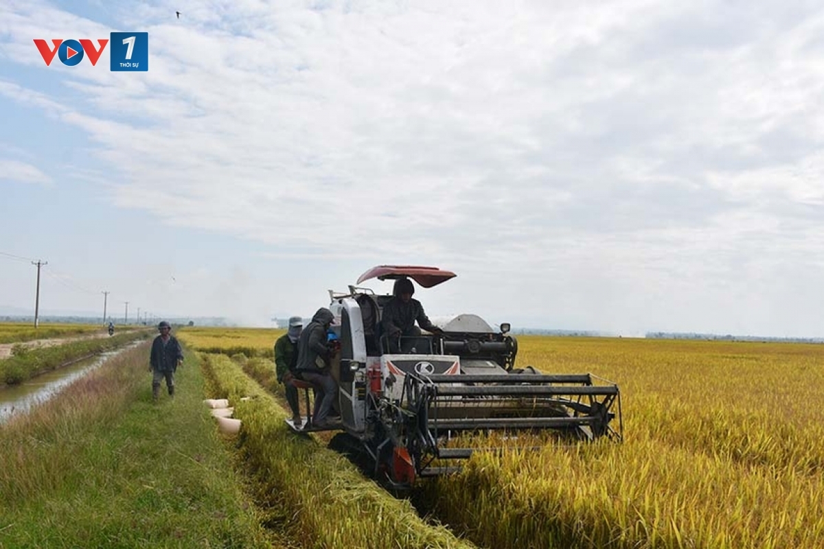 Bui sambai njauk bilan di mblang hamu Chư A Thai