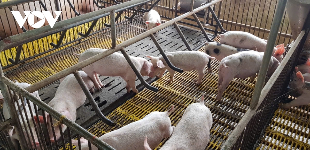 Hadei hajan ribuk, jit ruak ngak ka rilo labik ngak mbang di gah Barak negar huac kanda bruk raong veik