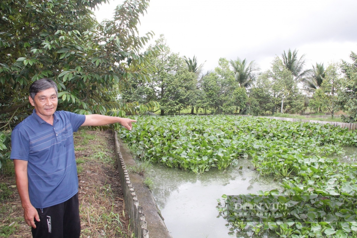 Ong Trần Hồng Quan daok di Ban Can Tho jeng urang ngak nong Viet Nam naih joi 2025 meng bruk raong tâp pambuak haong pala durian saong padai