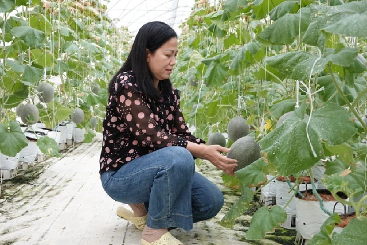 Amuk Út pasang iek sang halam nyuel daok brei paik baoh