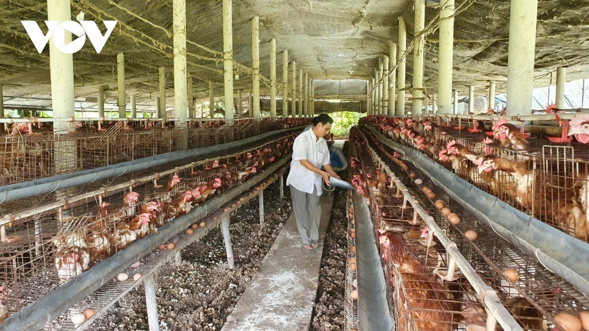 Gah raong glang kham merat khik kajap bruk pabak ginup ralaow, baoh menuk ada, ia tasau ka bingun Tet Nguyen dan 2026