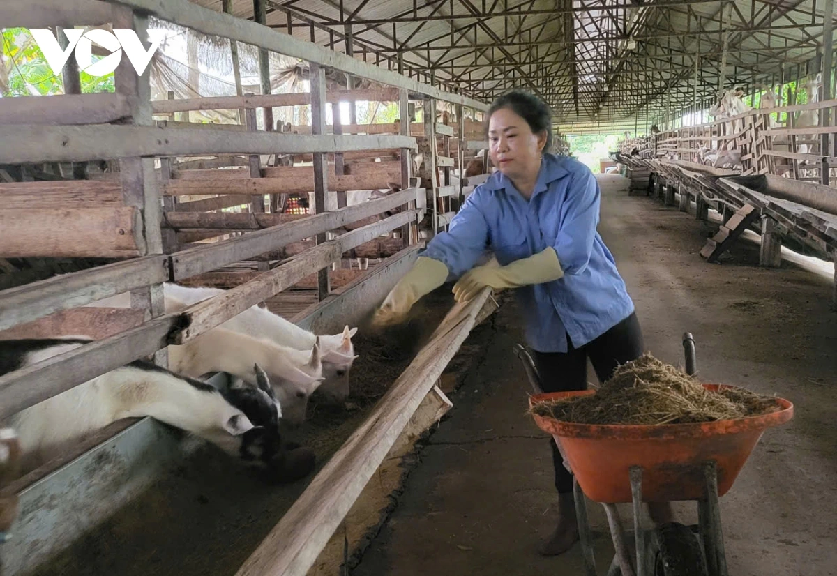 Sa-ai Đặng Thị Ngọc Đào di var pabe