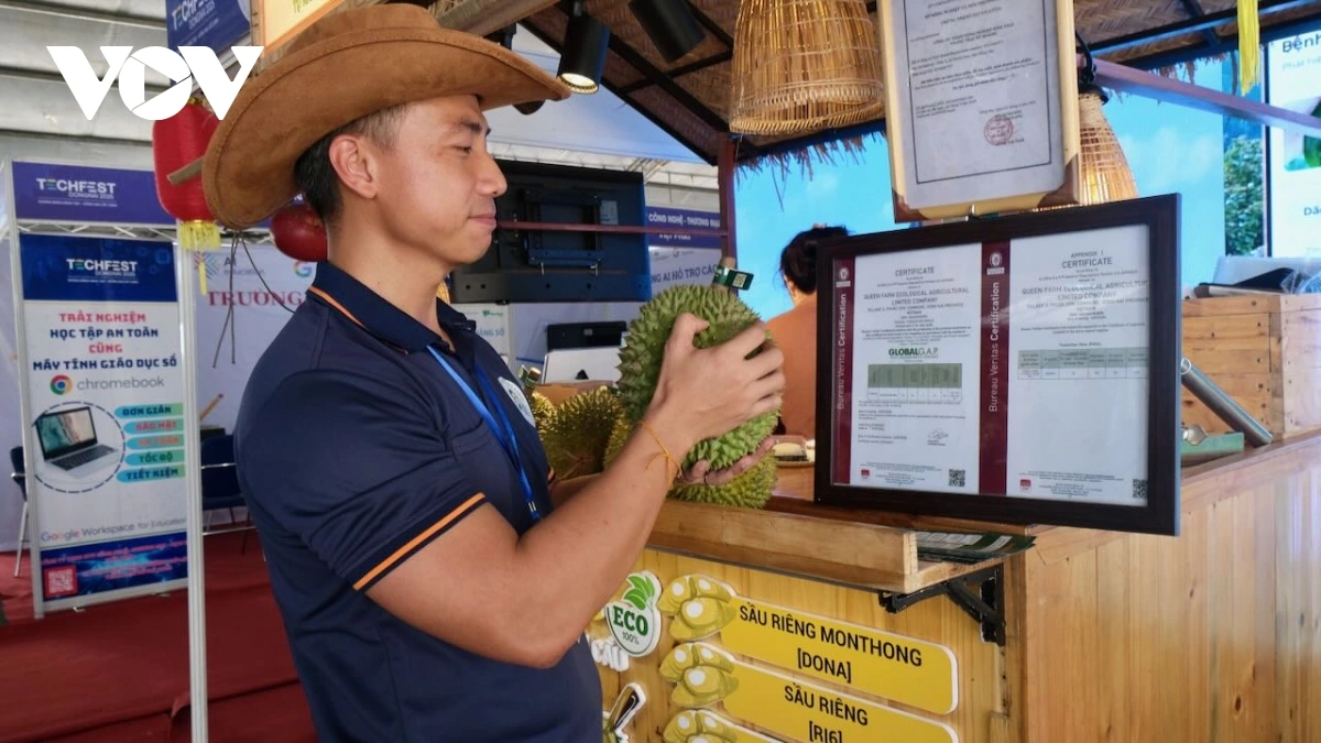 Sa-ai Nguyễn Thế Tùng yaih khan bruk padang mbang ngui pandar ilamo kong nghe glaong tame ngak nong
