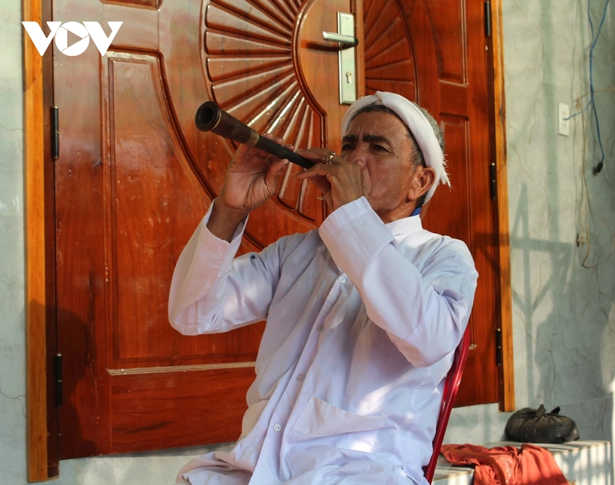 Urang yuk Saranai Đào Tấn