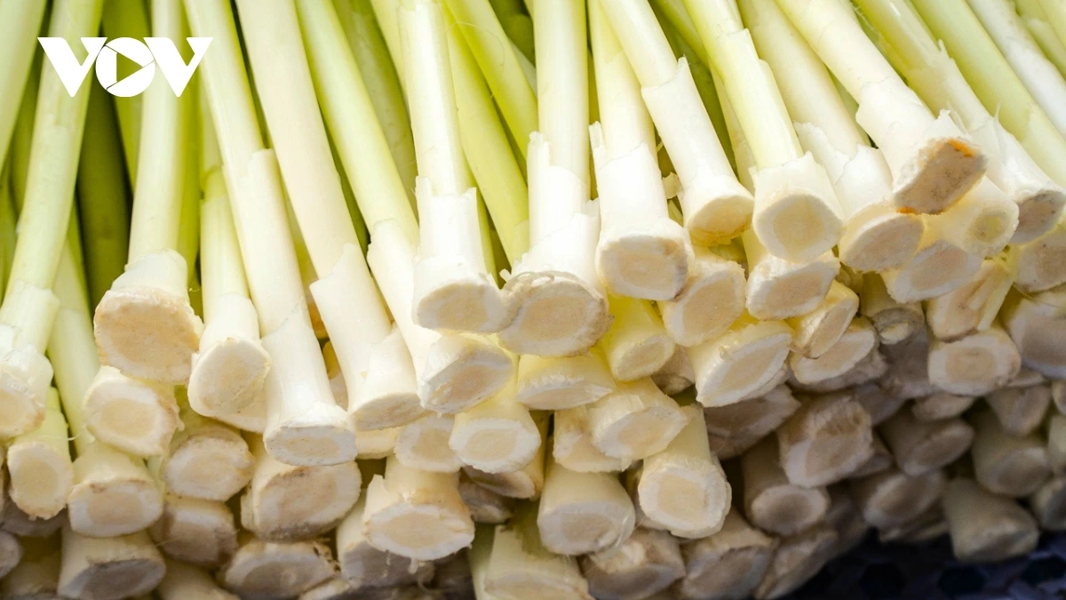 Yaom phun mbon mbon ngak jeng kaya hu labaih 20 - 30 ribau dong.