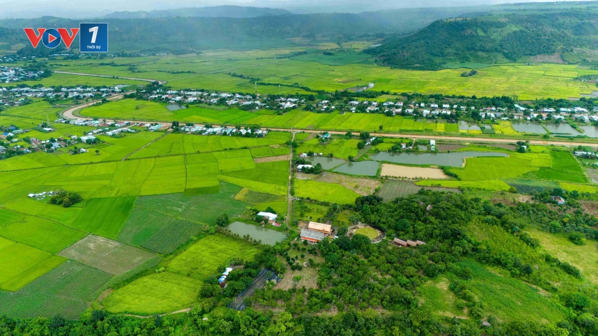 Kraong ribaong Ayun Hạ tuh pruh ka dom janih phun pala di xa Chư A Thai
