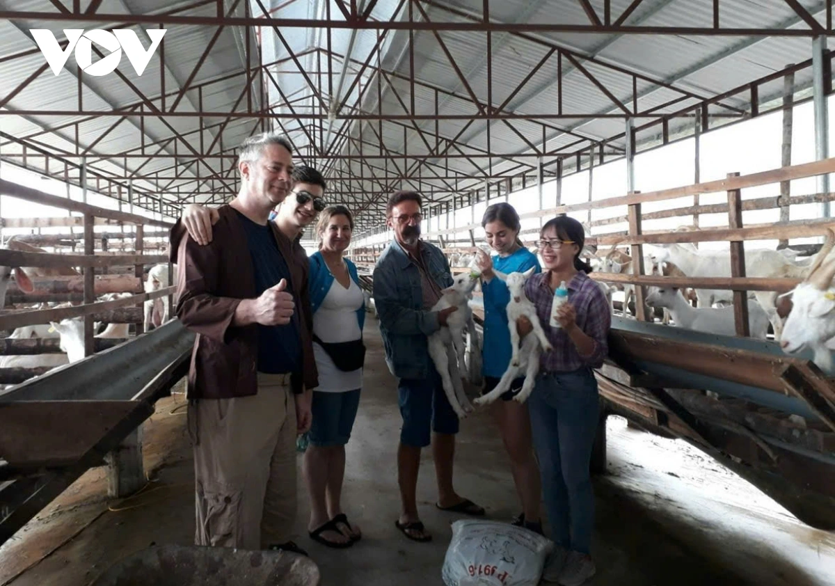 Rilo anek saih saong tuai damuai langiu negar mai labik ngak ia tasau pabe Ngọc Đào rivang iek