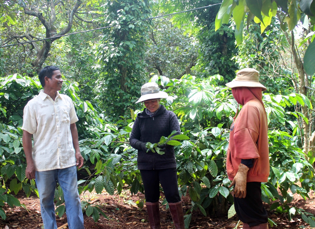 
Kon pơlei jang chŭn mir tơroi băl tơdỏng hlôh vao pơm tơlĕch cheh phe rơgoh