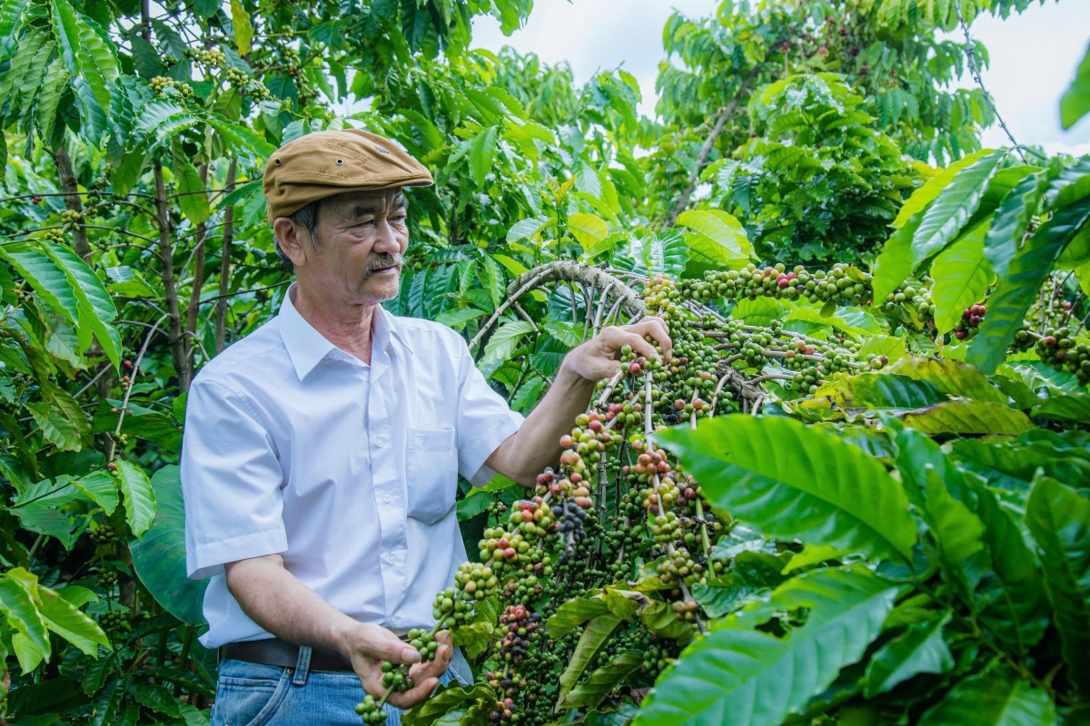 Tŭ yua pla kơphê lu than pơkom lui tơdŭ